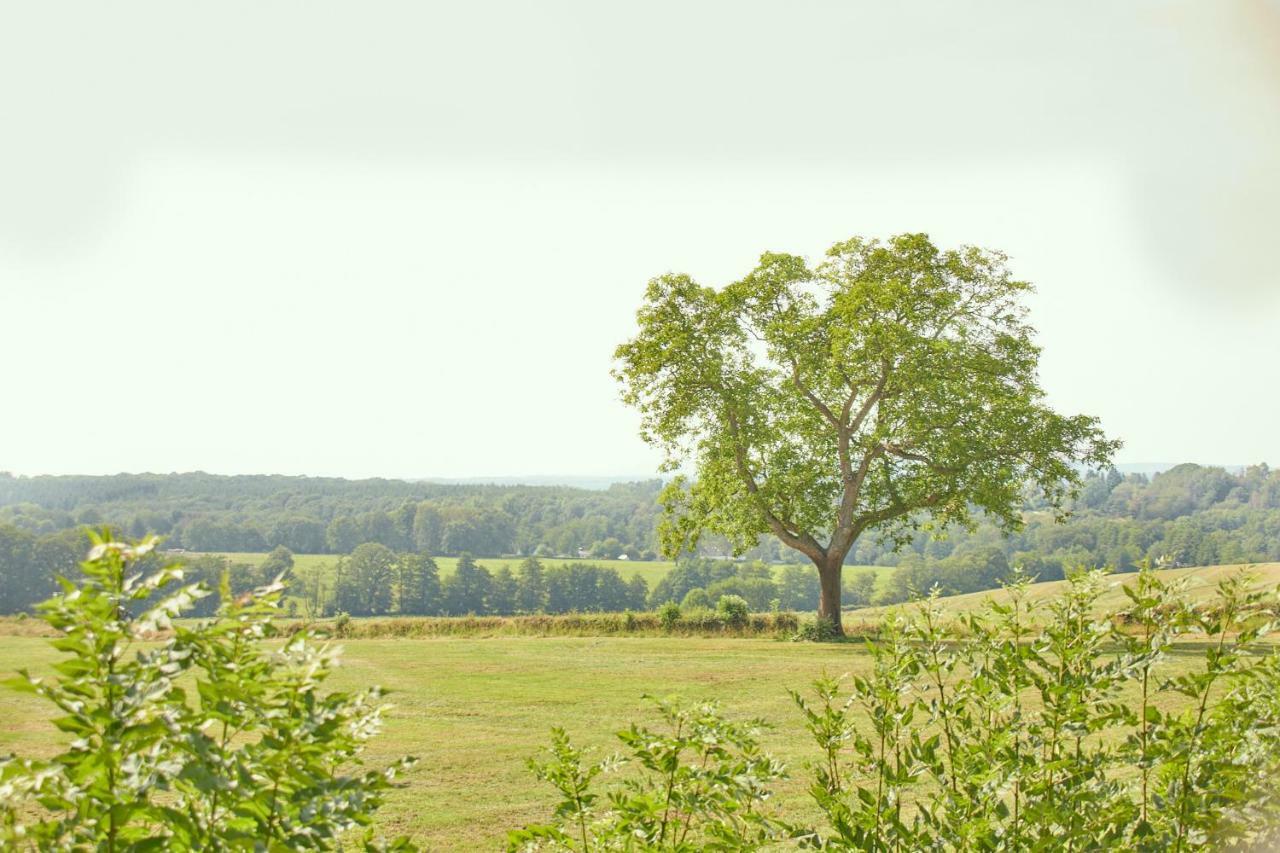 Relais Koenigsberg Hotel Aachen Luaran gambar